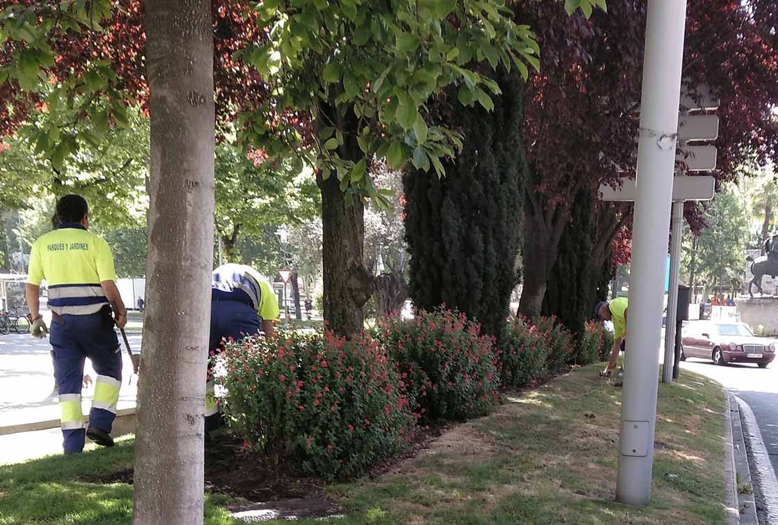 Parques y jardines. Foto de archivo