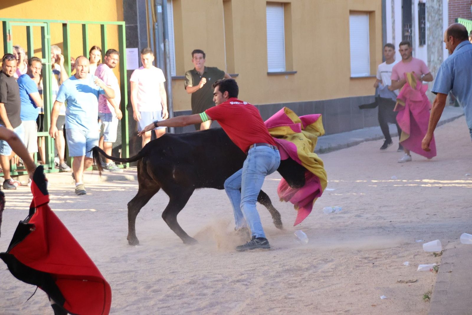 20240817191258-img-4530