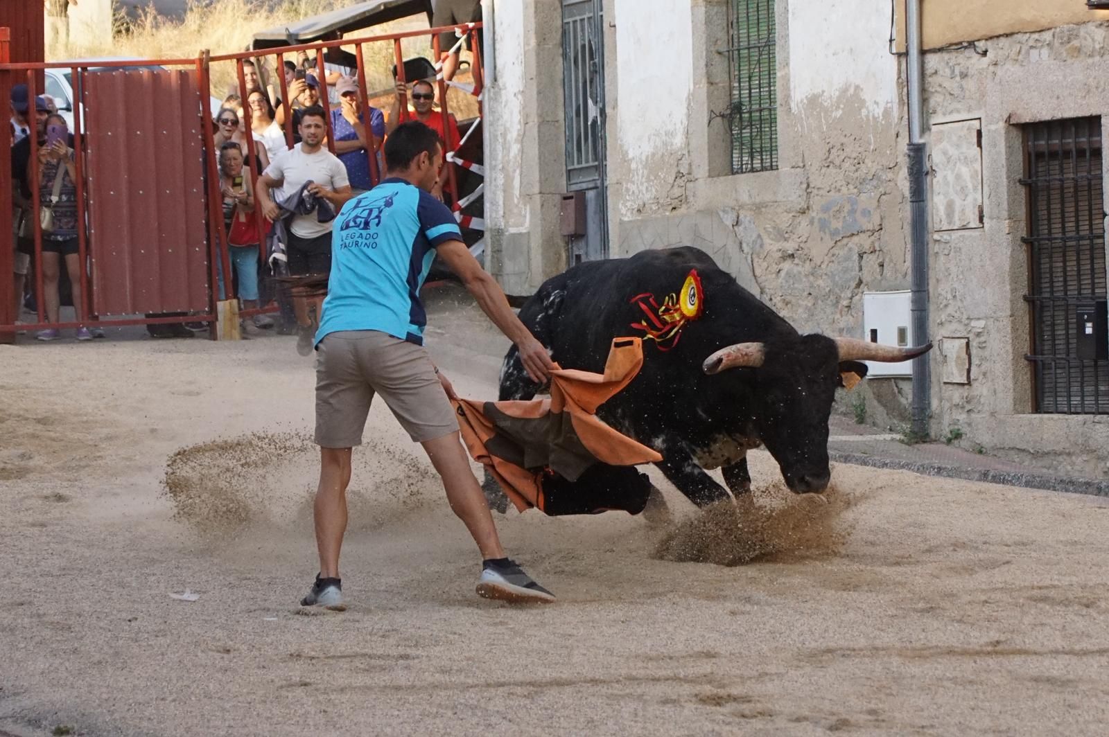 Pasión, tradición y calle: así se ha vivido en Ledesma el II Toro de Cajón