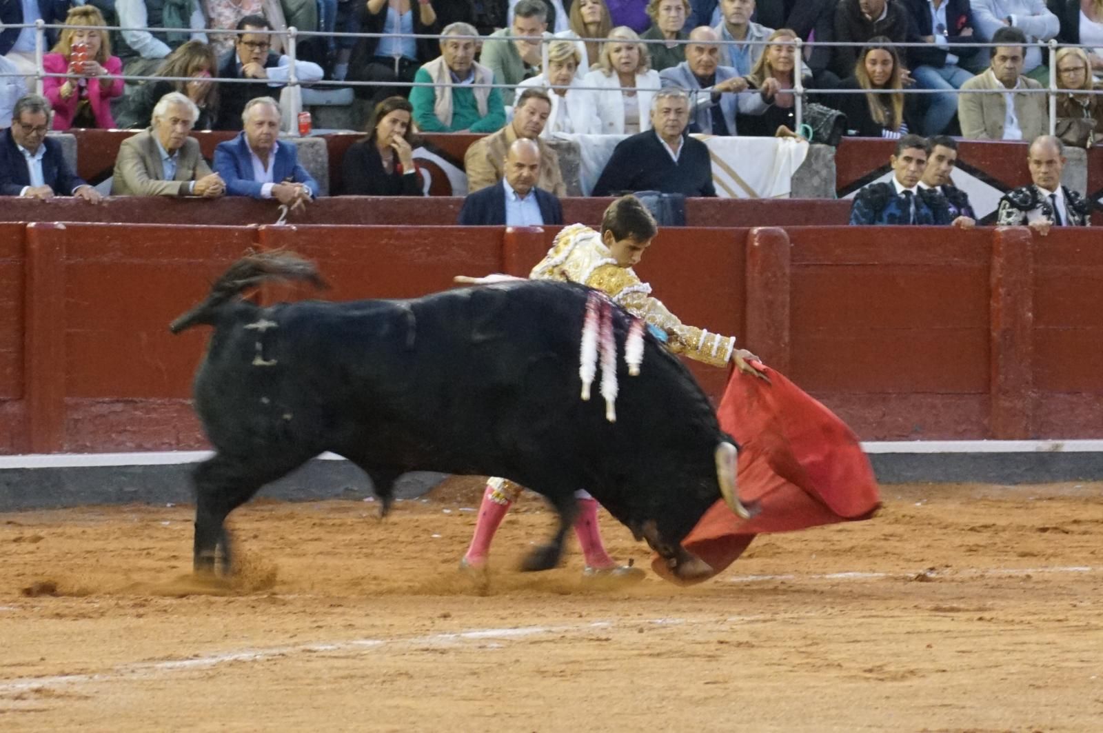 corrida-concurso-momentos-mas-destacados-del-ultimo-festejo-de-abono-de-la-feria-taurina-virgen-de-la-vega-2024-fotos-carlos-h-g-y-juanes-24