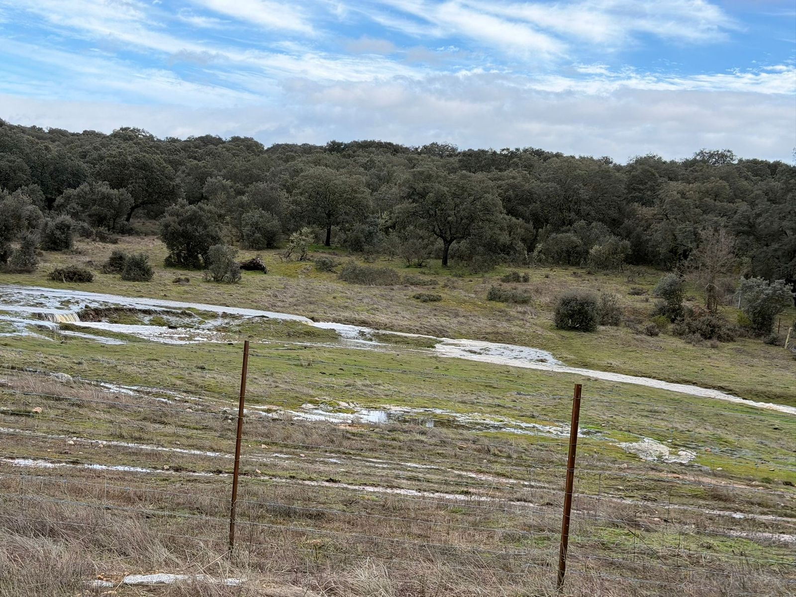 El campo anegado de agua en la zona del Campo Charro
