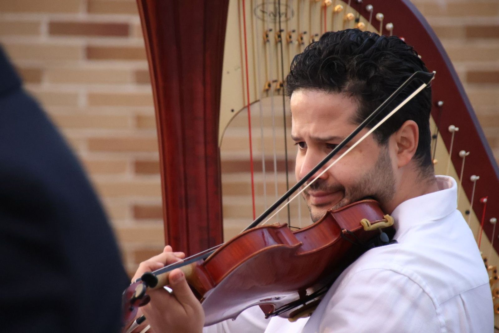 20240504200849-img-3922