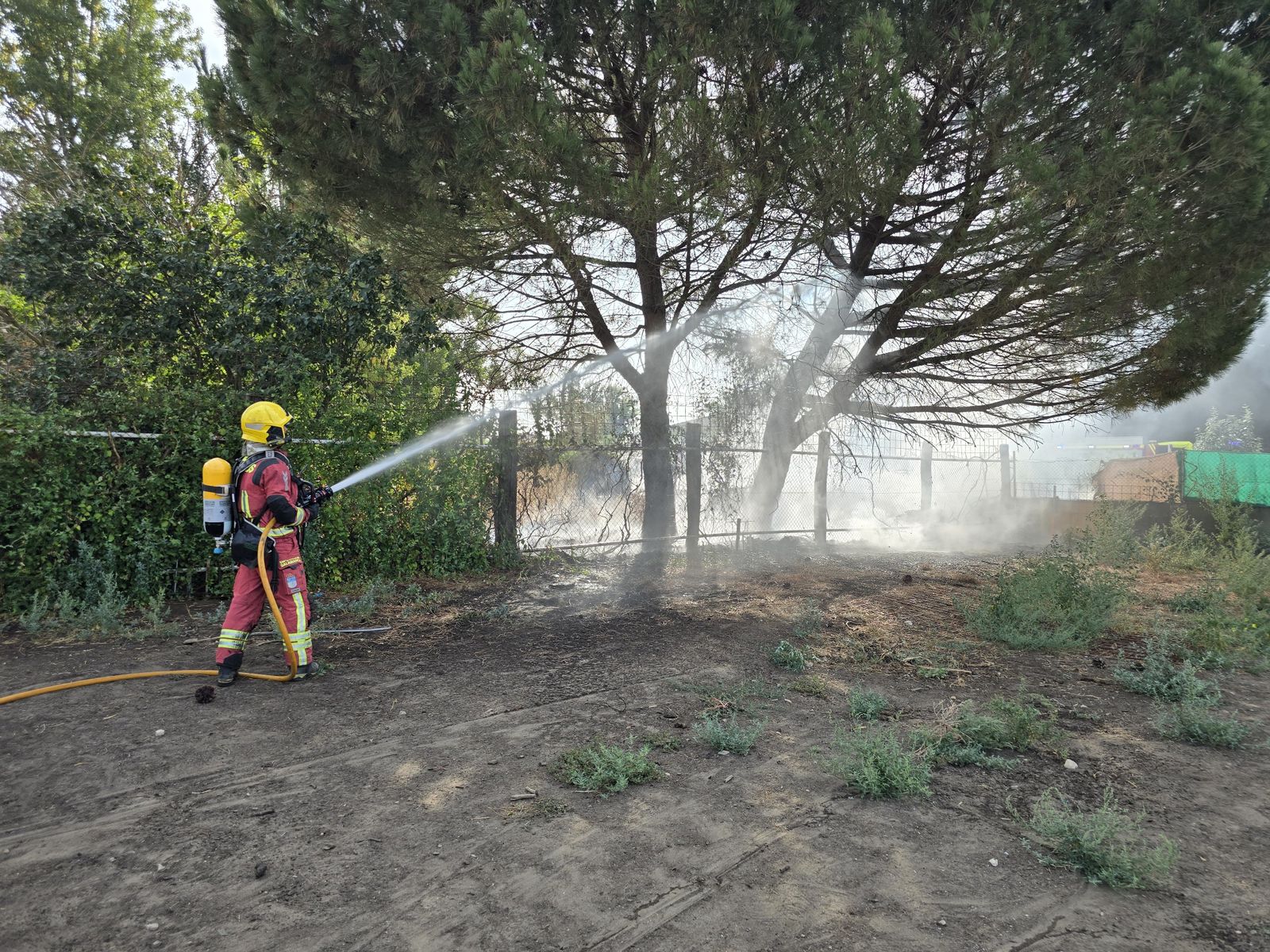 whatsapp-image-2024-08-29-at-10-55-41