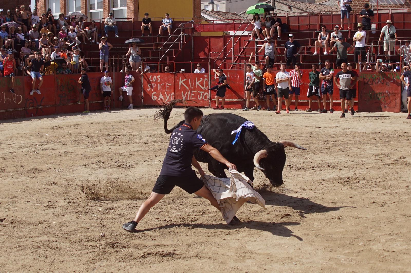 toro-de-cajon-de-castrillo-de-la-guarena-fotos-juanes-16