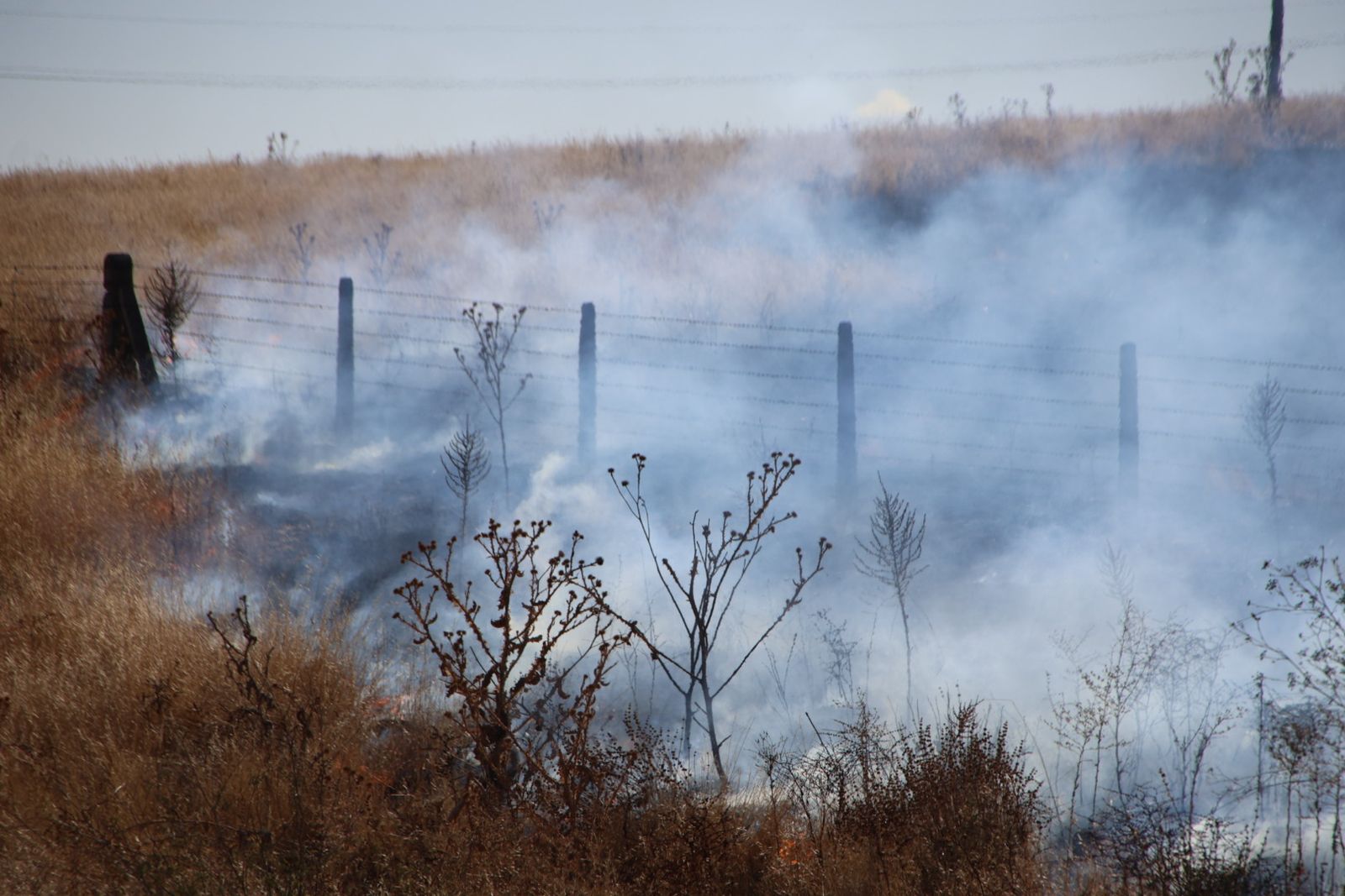 Incendio de rastrojos en la carretera de Matilla de los Caños