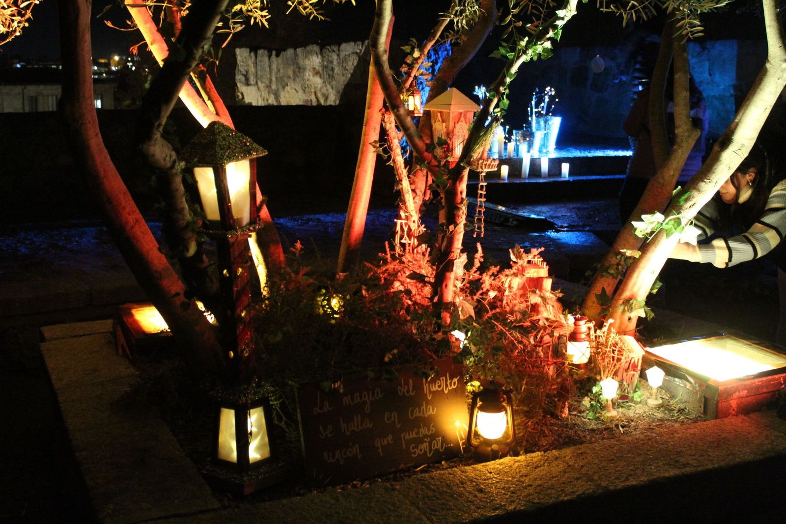 20231204212931-img-6421