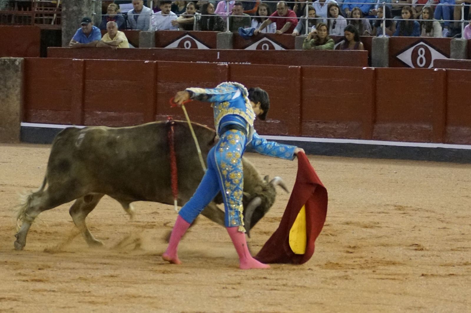 Clase práctica con alumnos de la Escuela de Tauromaquia de Salamanca (Diego Mateos, Noel García y Álvaro Rojo con erales de Esteban Isidro)