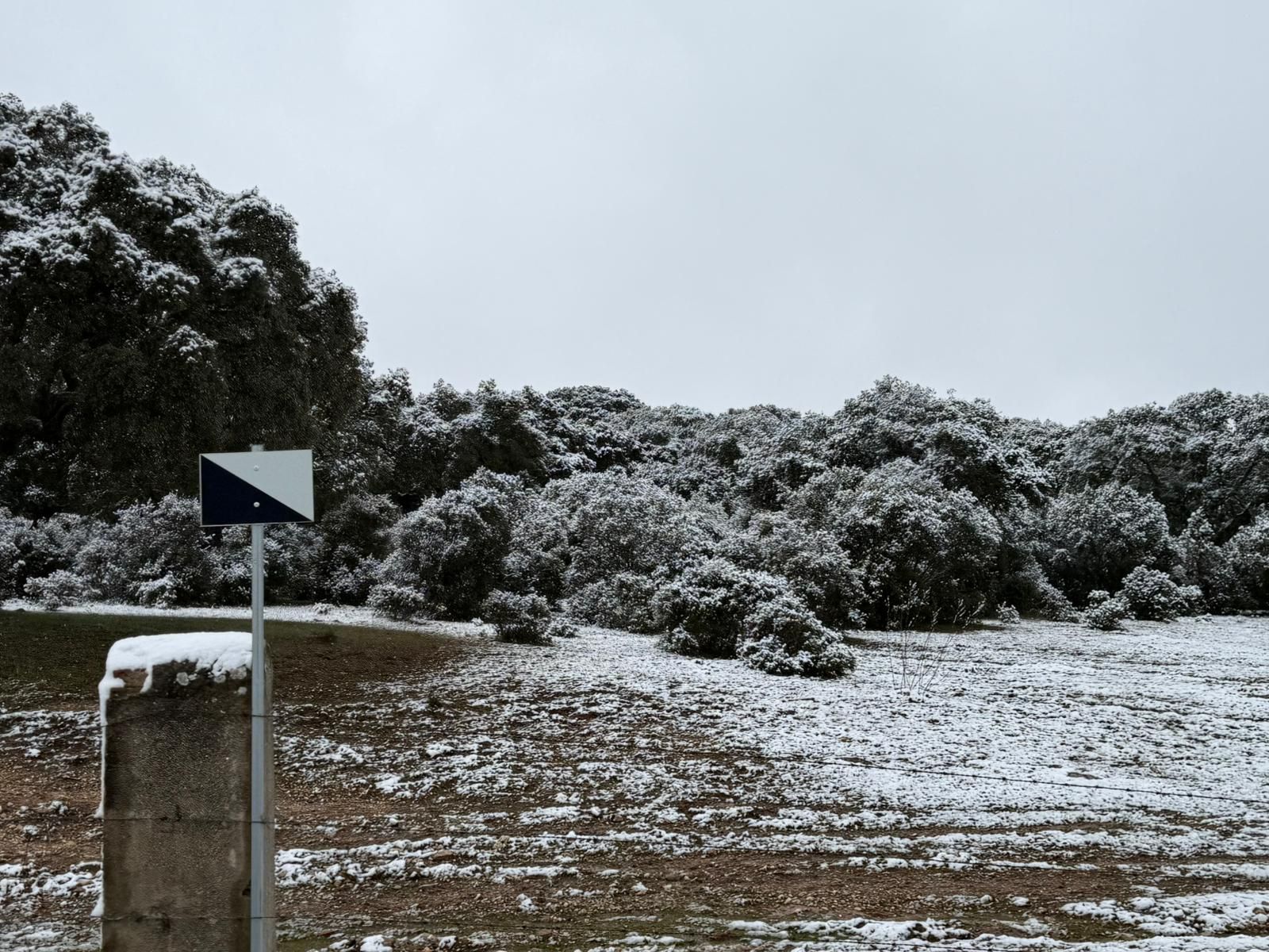 Nieve en Cuatro Calzadas, Pereña y Guijuelo este sábado