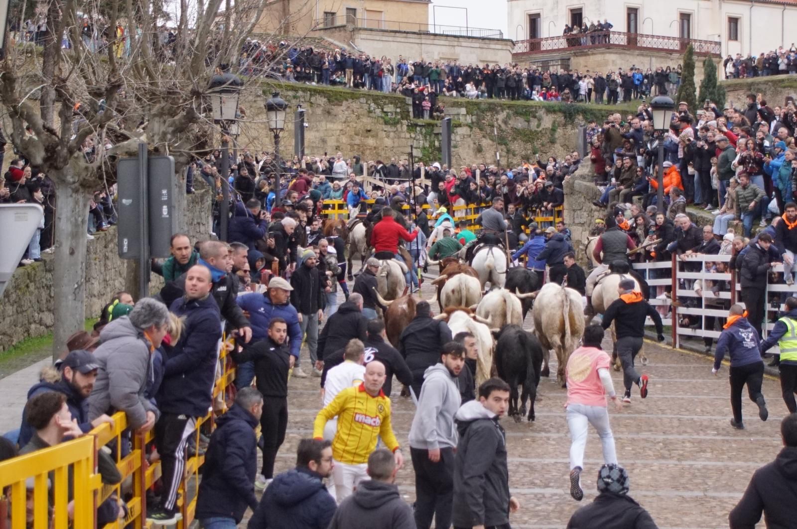 Encierro a Caballo en el Carnaval del Toro 2026 de Ciudad Rodrigo
