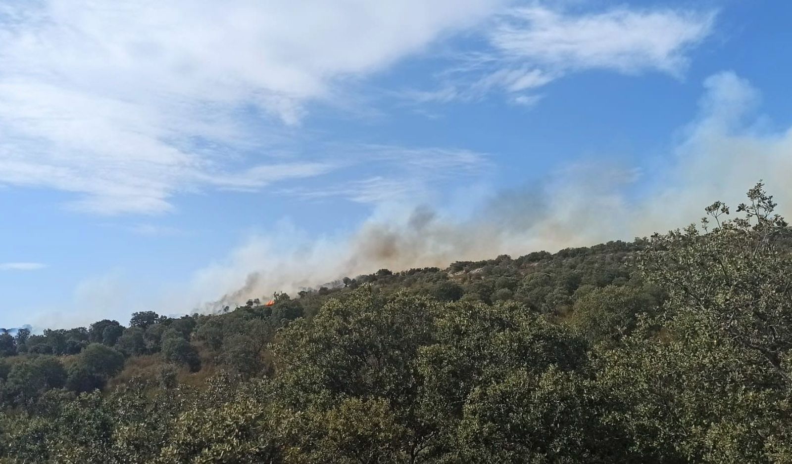 Incendio en Granja de Moreruela