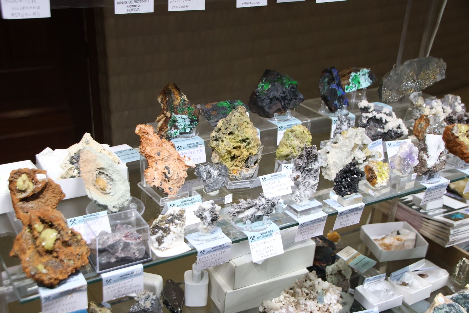 X Feria de Minerales de Salamanca