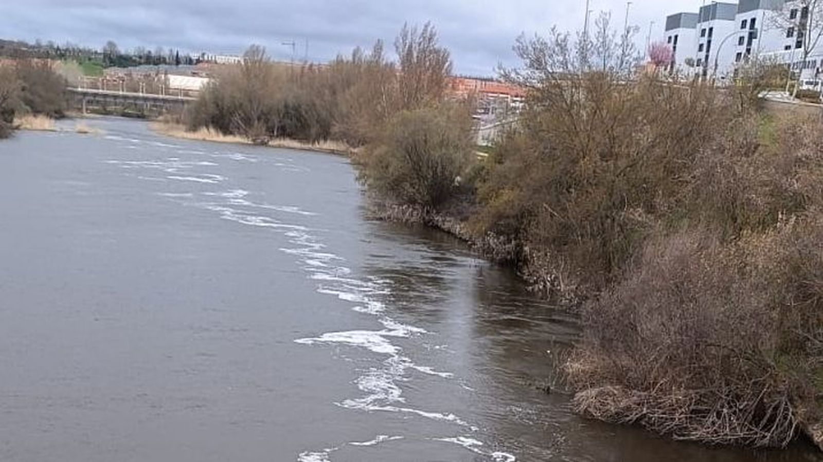 Un extraño vertido en el río Tormes pone en alerta a los salmantinos