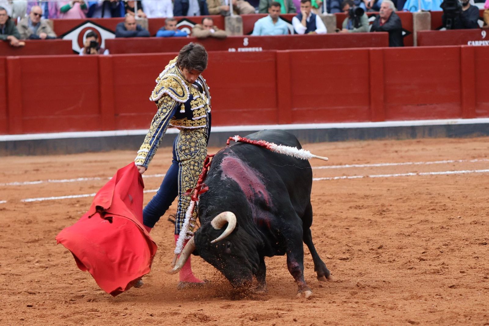 20230916182755-img-5569