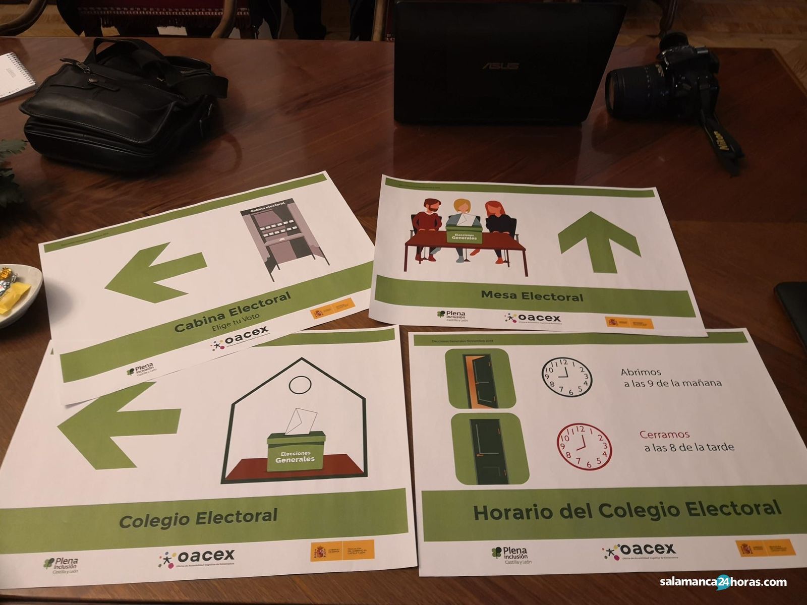 Carteles plena inclusión en las elecciones (2)