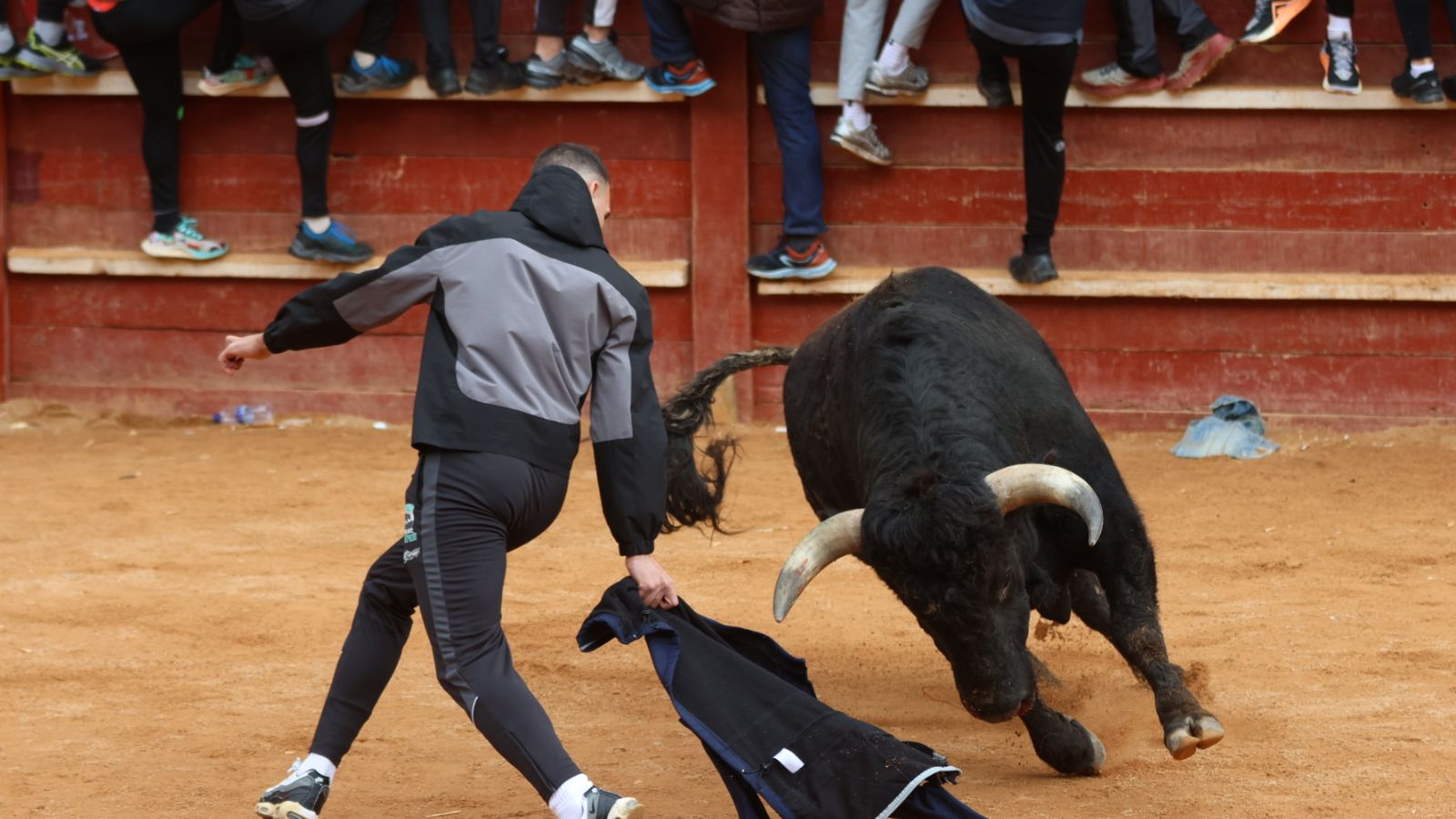 Mañana de capea de lunes en el Carnaval del Toro 2026