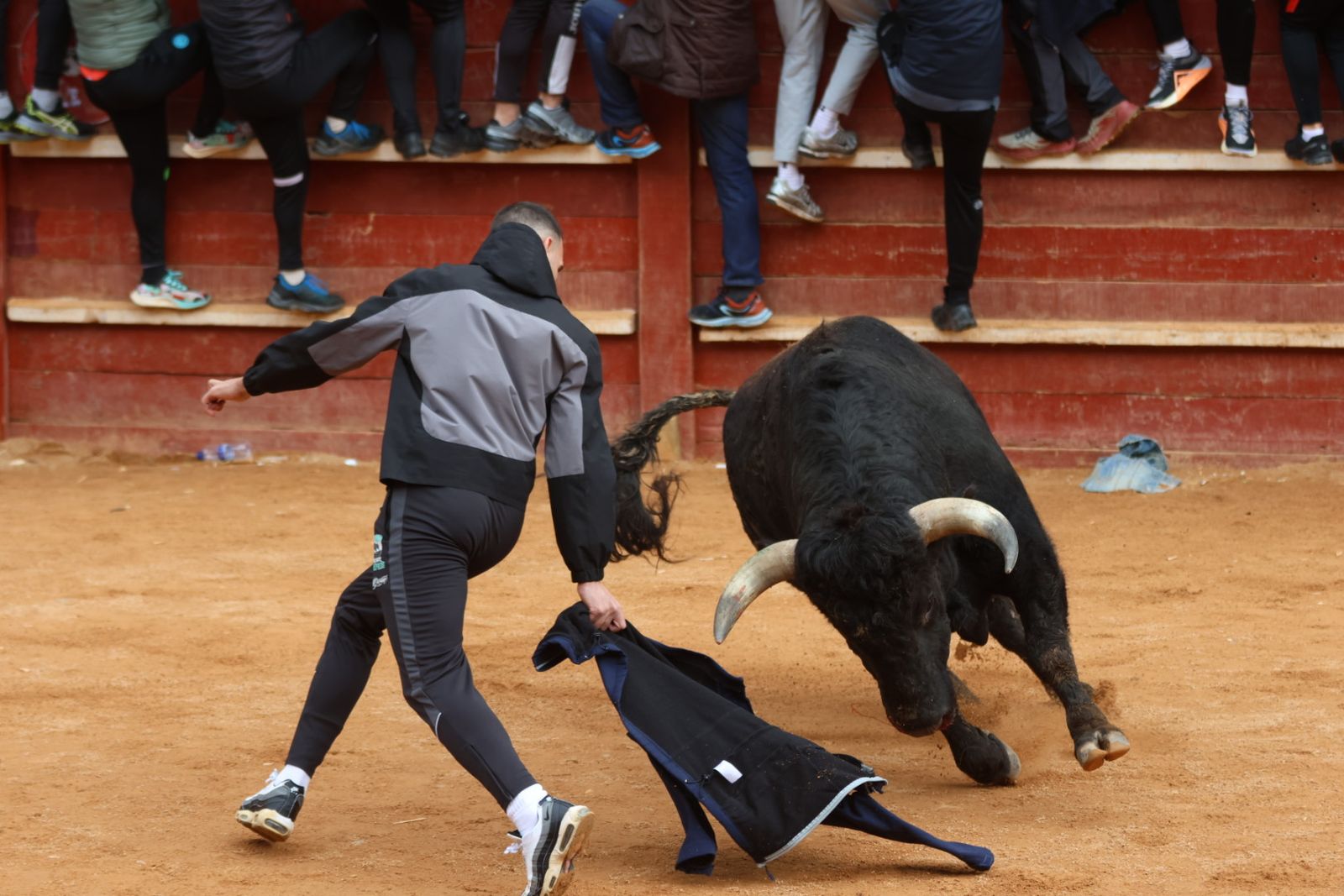 Mañana de capea de lunes en el Carnaval del Toro 2026