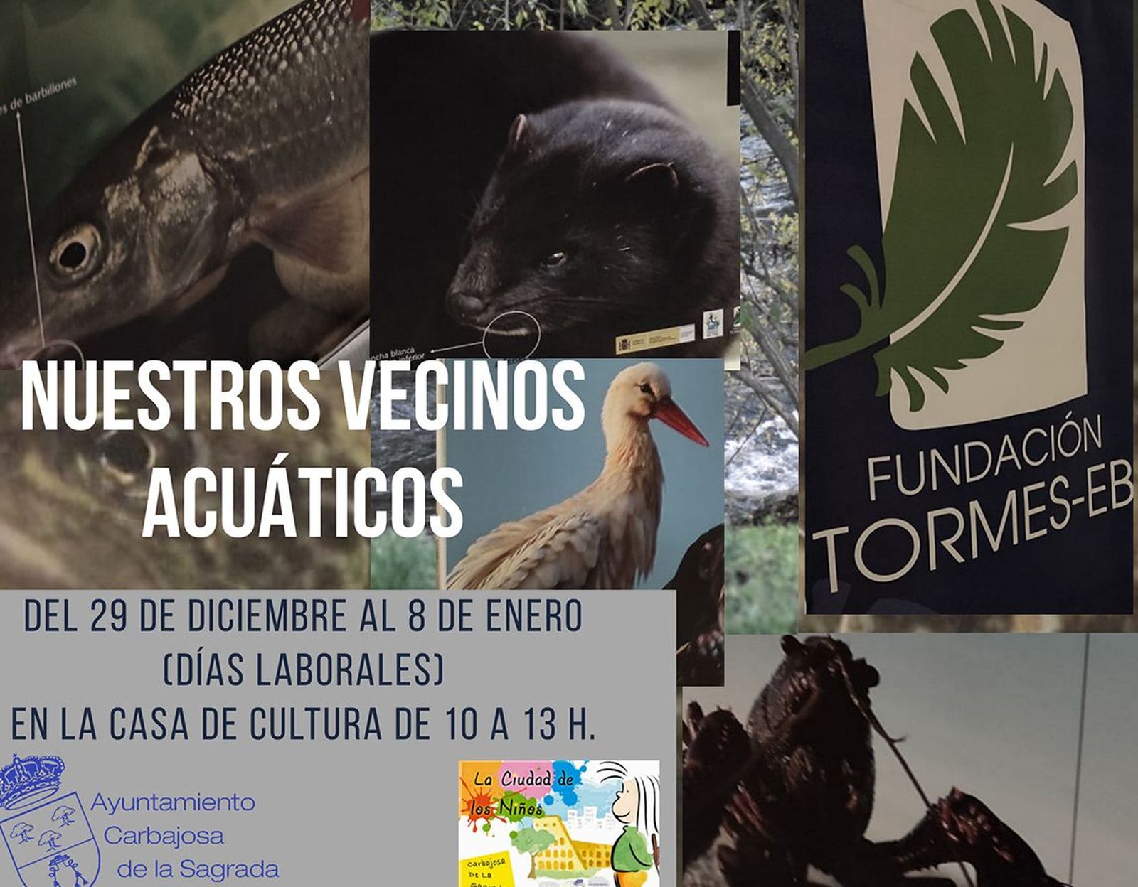 Exposición de animales acuáticos