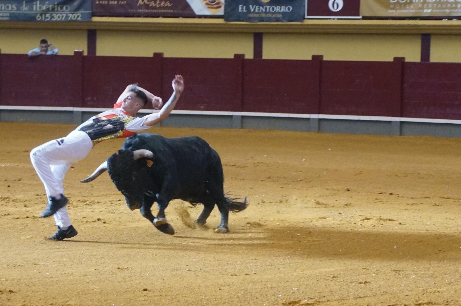 Alba de Tormes celebra un nuevo concurso de cortes