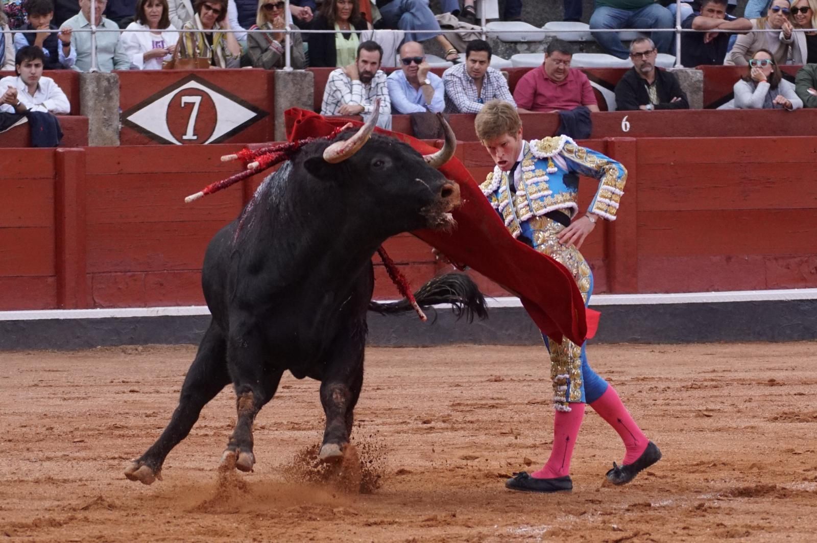 corrida-concurso-momentos-mas-destacados-del-ultimo-festejo-de-abono-de-la-feria-taurina-virgen-de-la-vega-2024-fotos-carlos-h-g-y-juanes-6