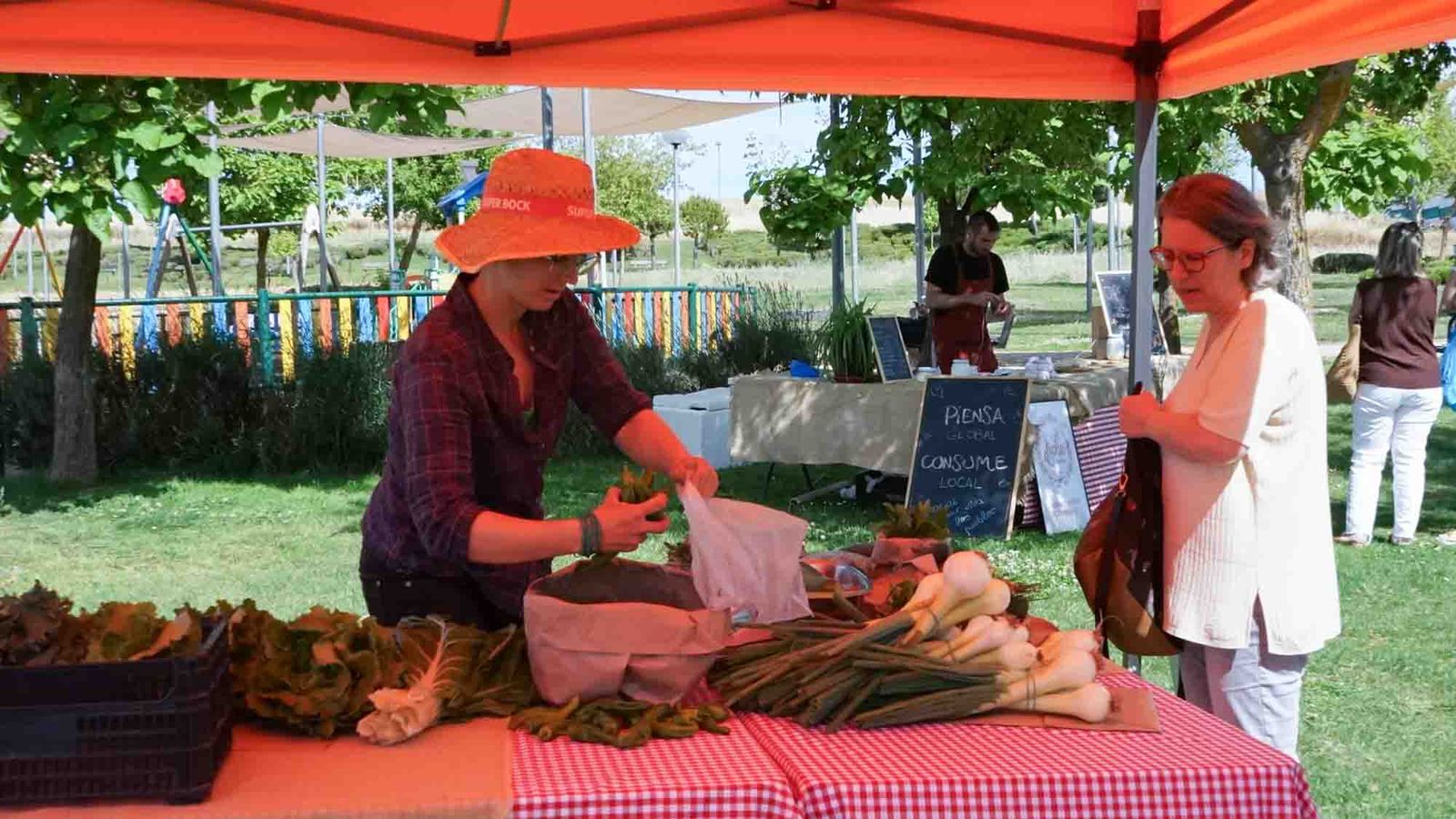 Mercado de Temporada 