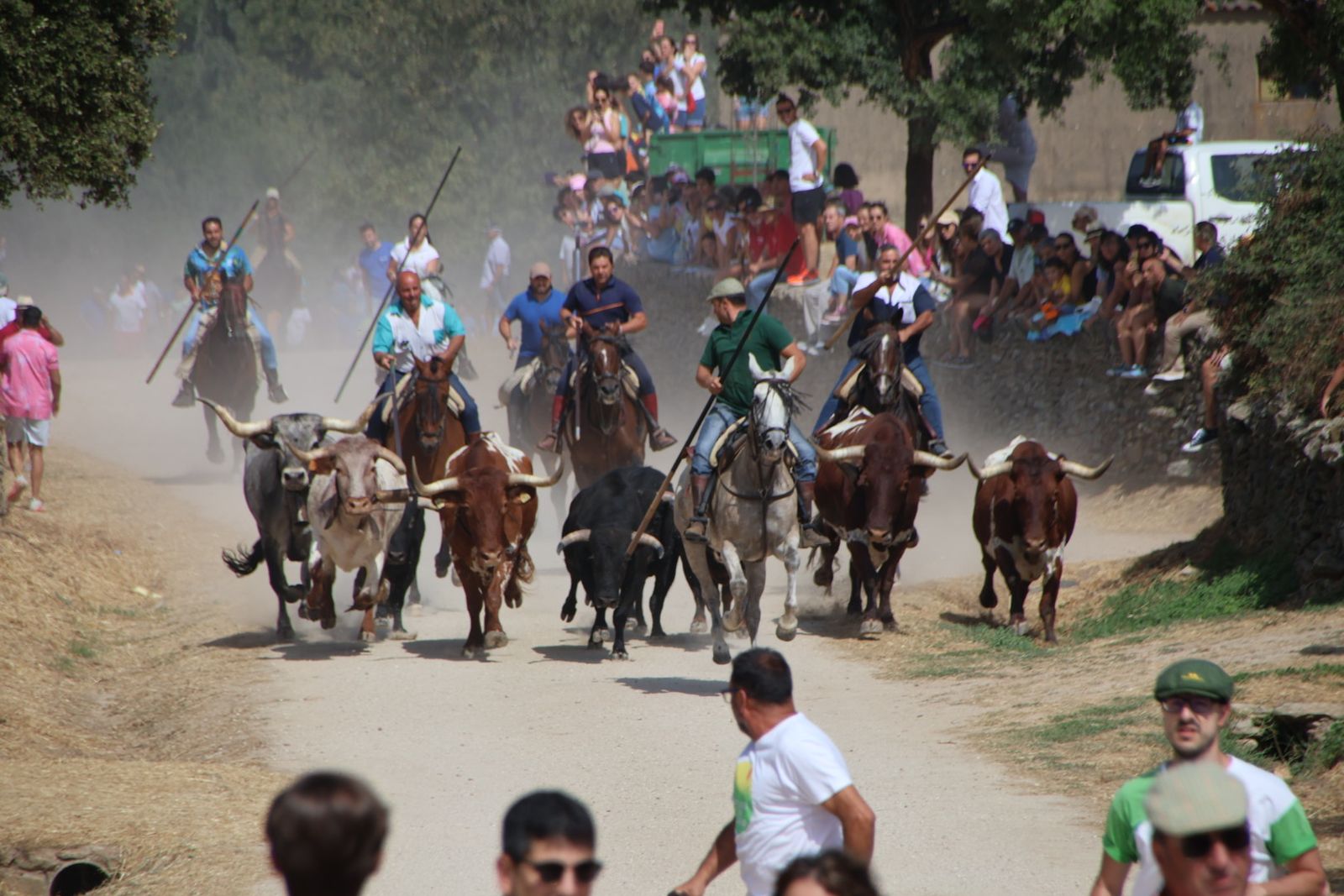 Lumbrales encierro a caballo, dia 2
