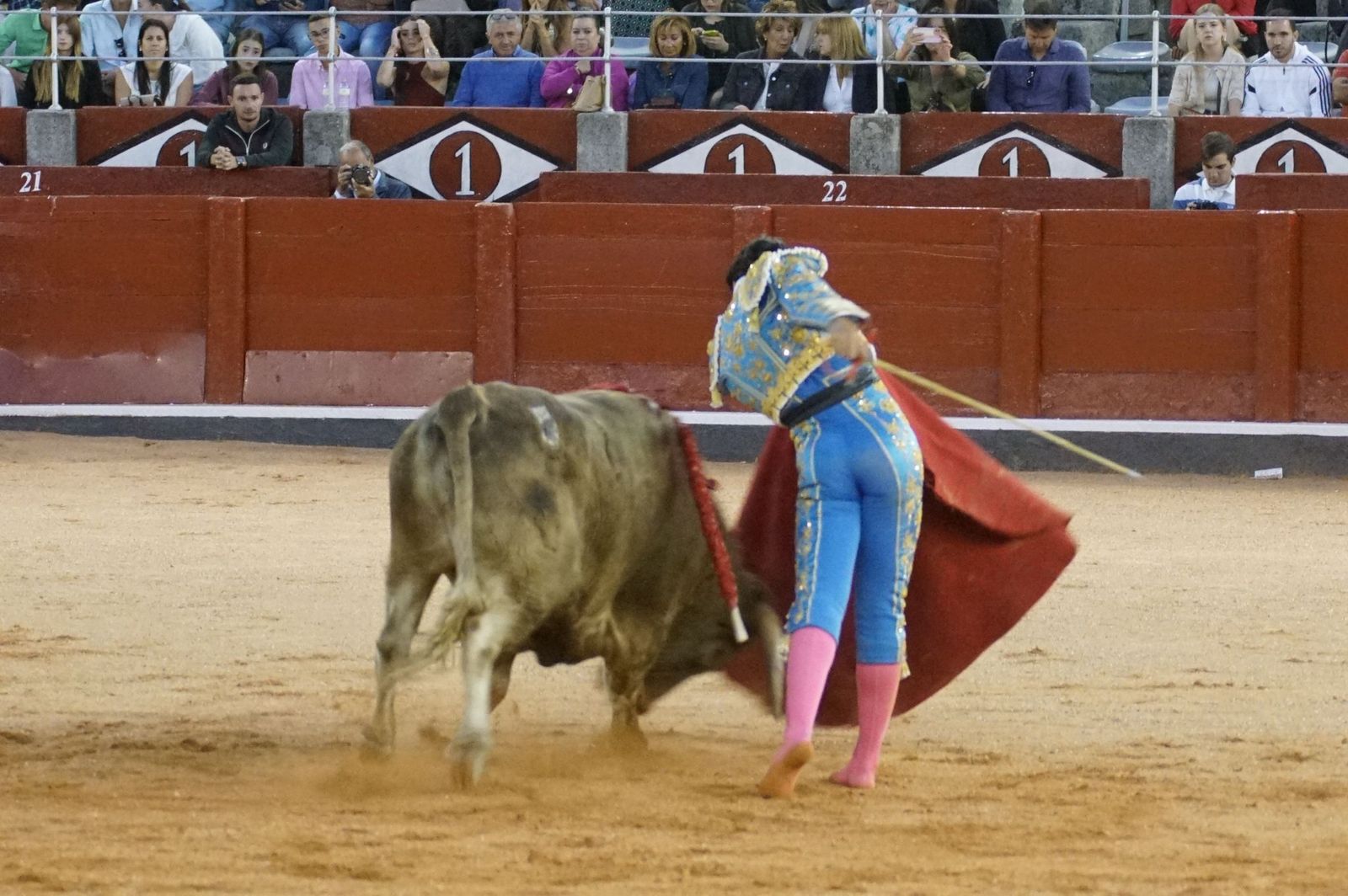 Clase práctica con alumnos de la Escuela de Tauromaquia de Salamanca (Diego Mateos, Noel García y Álvaro Rojo con erales de Esteban Isidro)