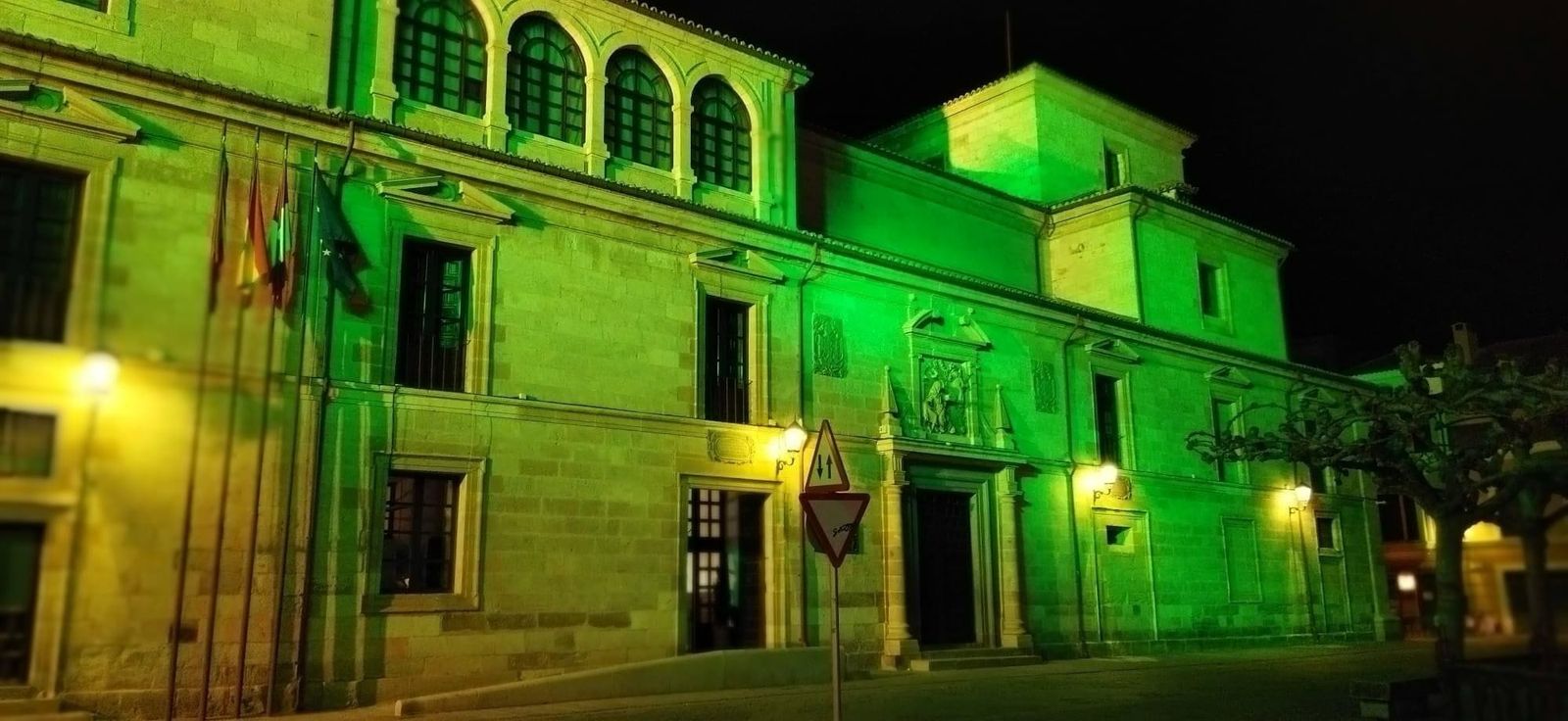 La Diputación de Zamora, de color verde La Diputación de Zamora, de color verde