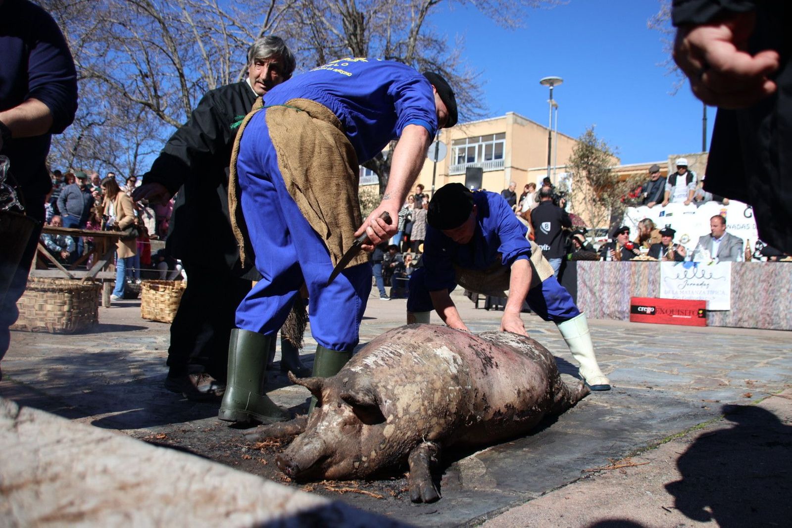 20240203132130-img-4473