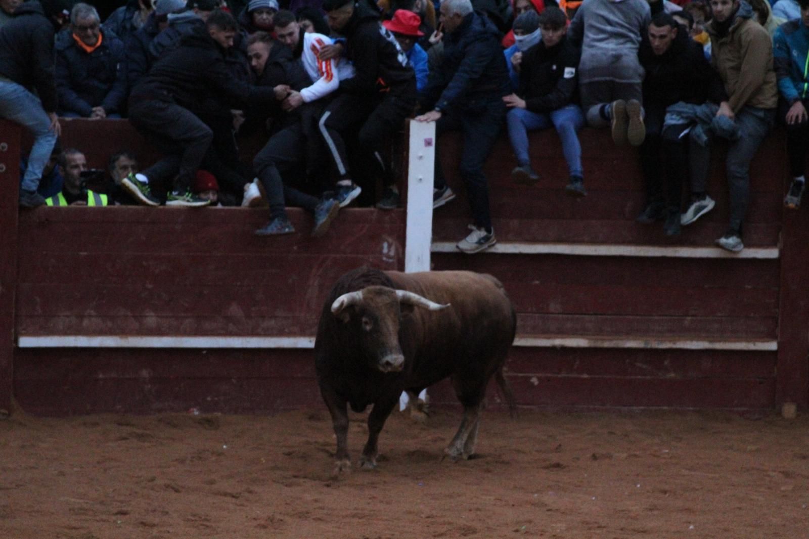 ambiente-y-capea-vespertina-sabado-de-carnaval-en-ciudad-rodrigo-2025-fotos-belen-hurtado-65