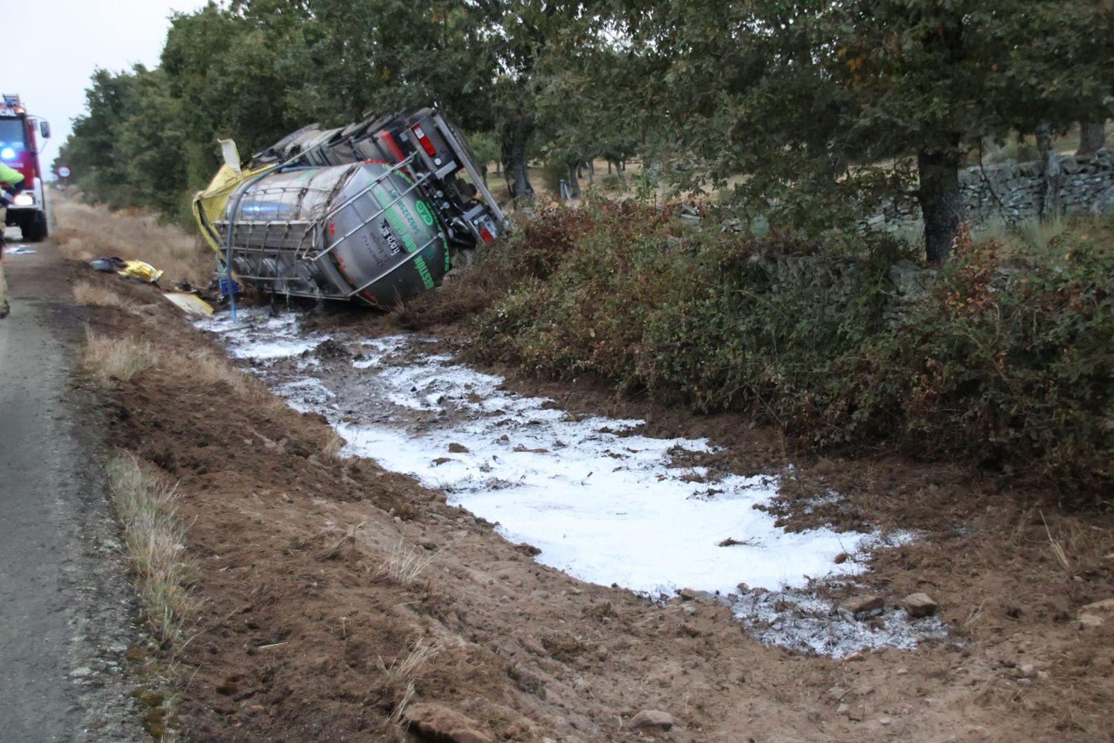 whatsapp-image-2024-10-03-at-09-06-31-1