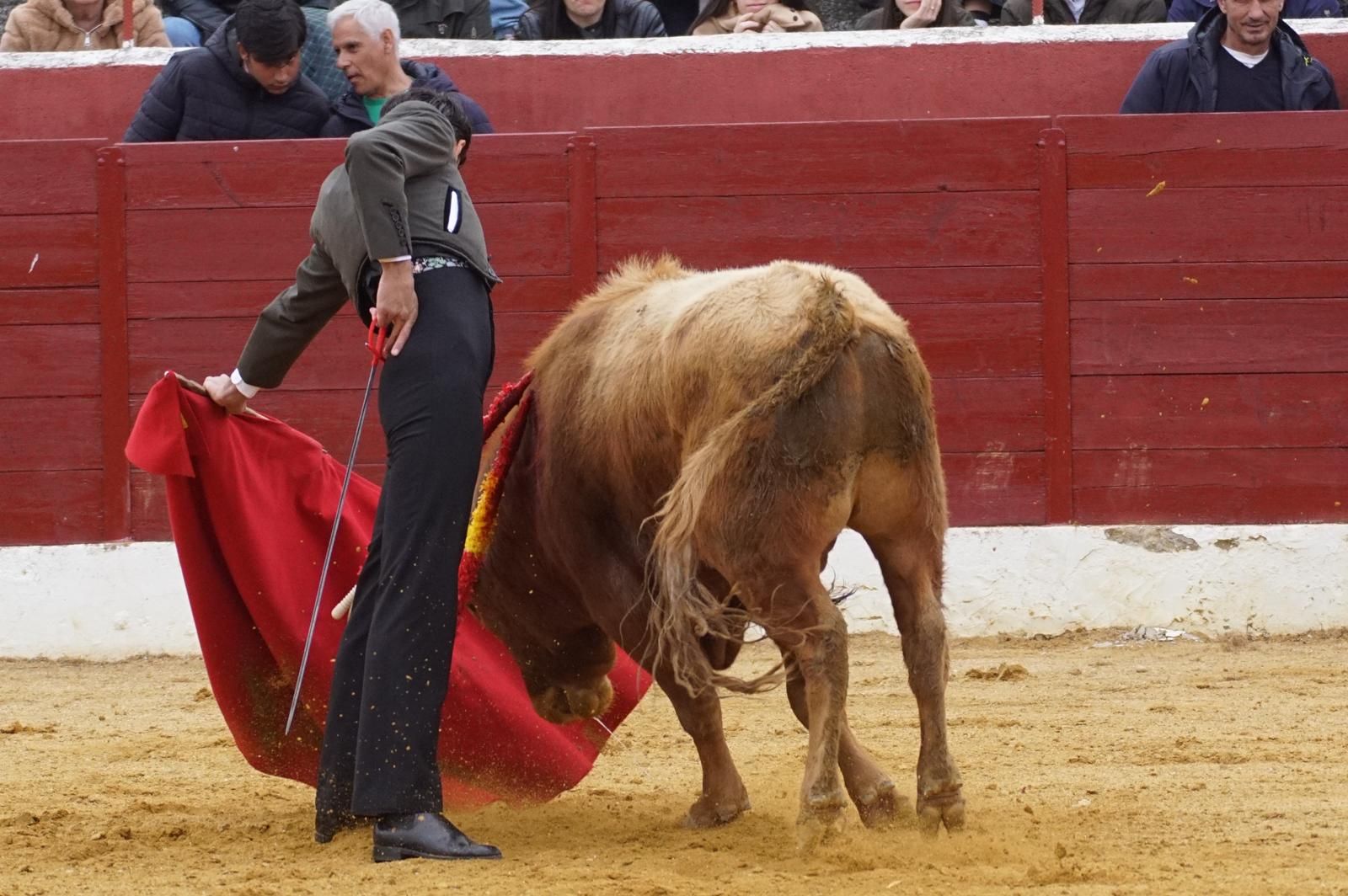 Festival taurino en Villoria