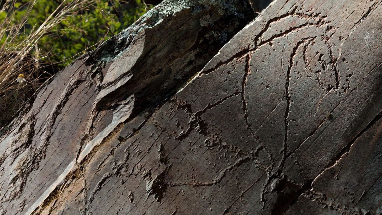 Arte paleolítico en Siega Verde