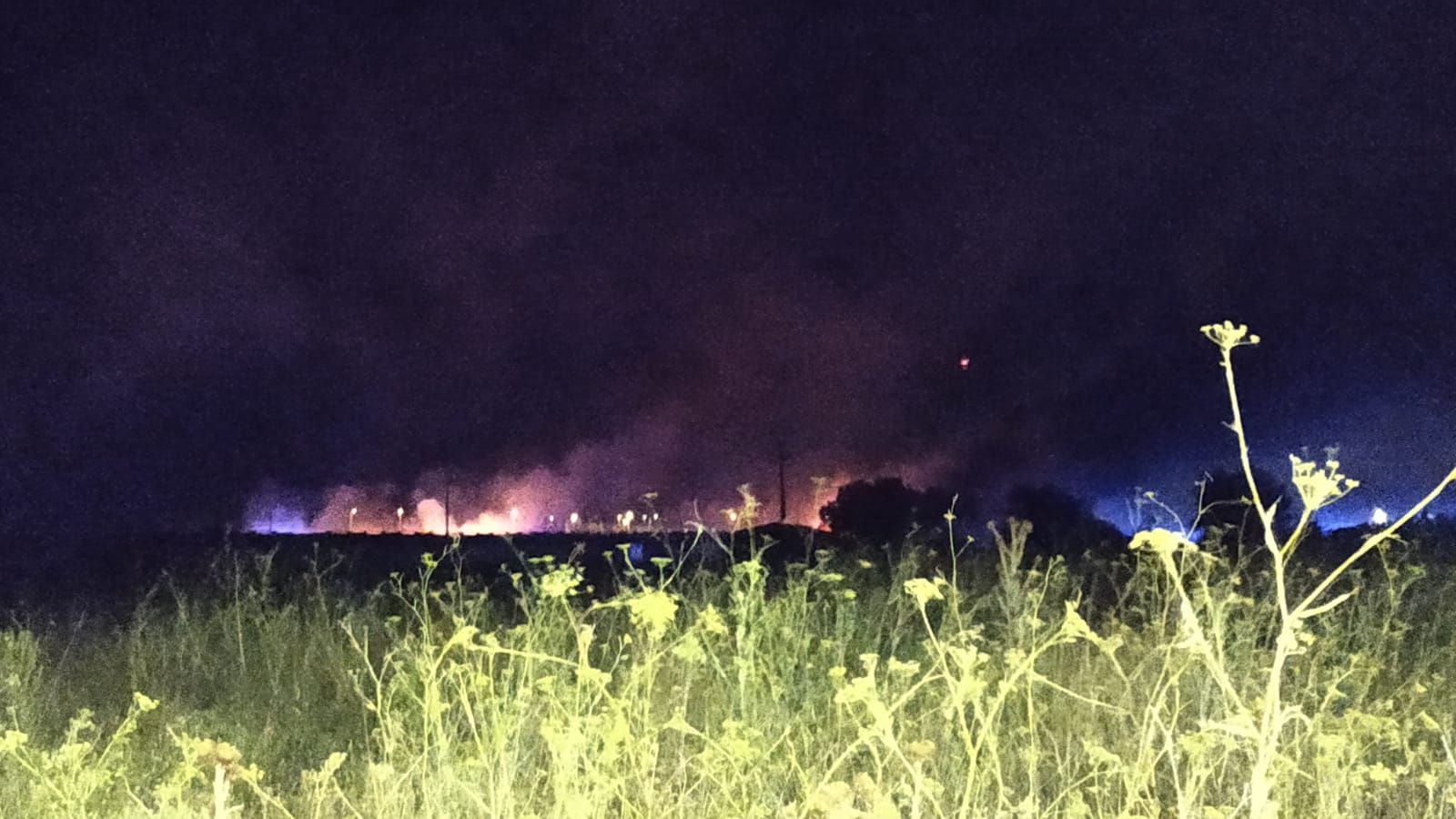 whatsapp-image-2021-07-30-at-23-59-11