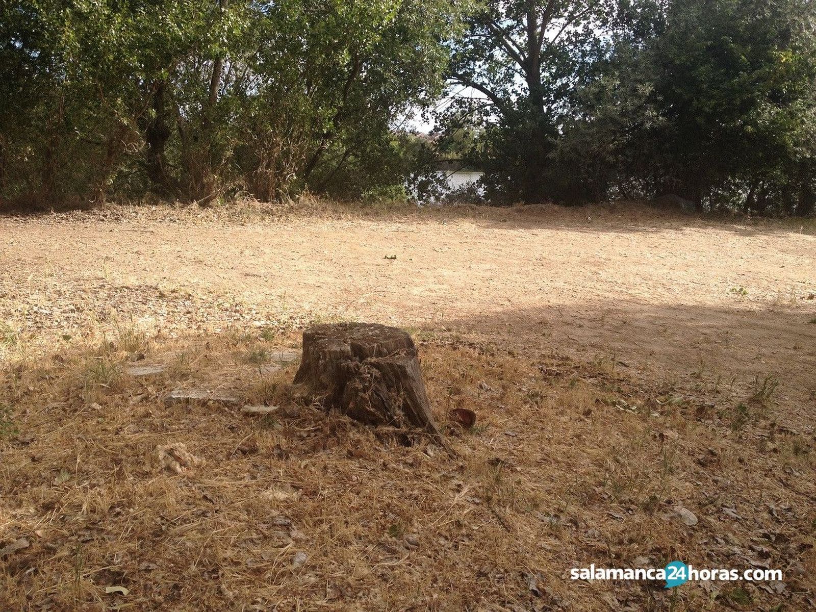 Parque fluvial La Aldehuela (3)