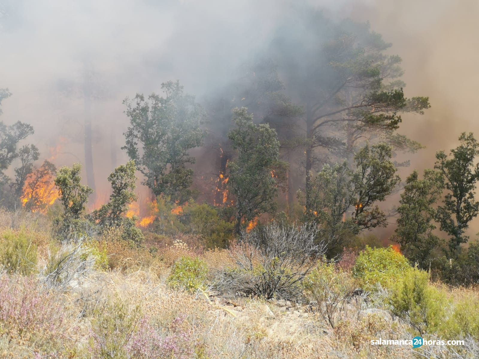 Incendio la Alberca