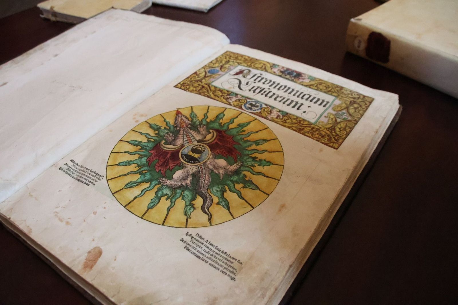 20231005113031-img-1347