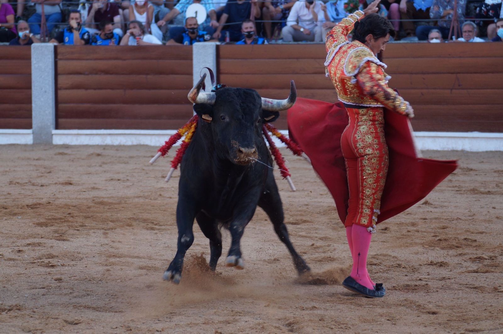 toros-en-guijuelo-15-de-agosto-55