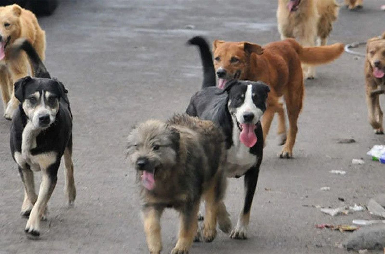 WhatsApp Image 2020 11 14 at 12.55.57