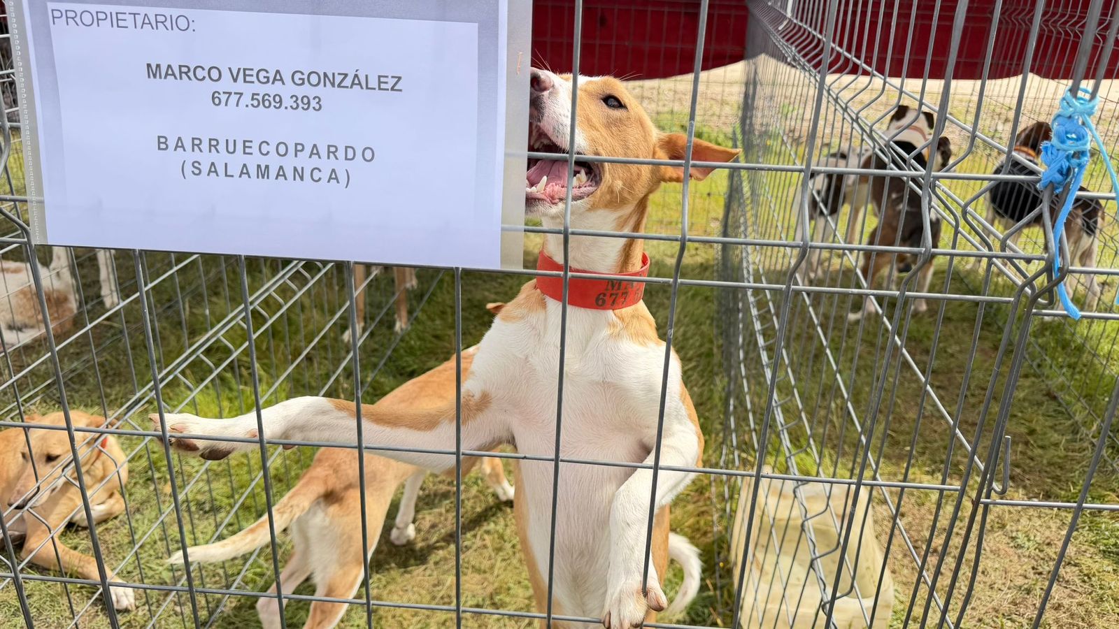 Feria Barruecopardo 1 de mayo 2026