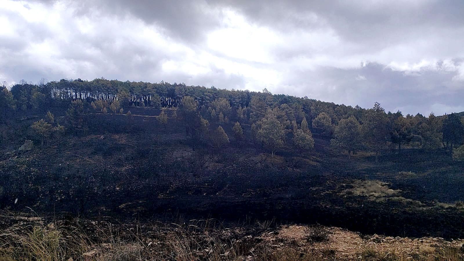 incendio-en-la-sierra-de-la-culebra-6