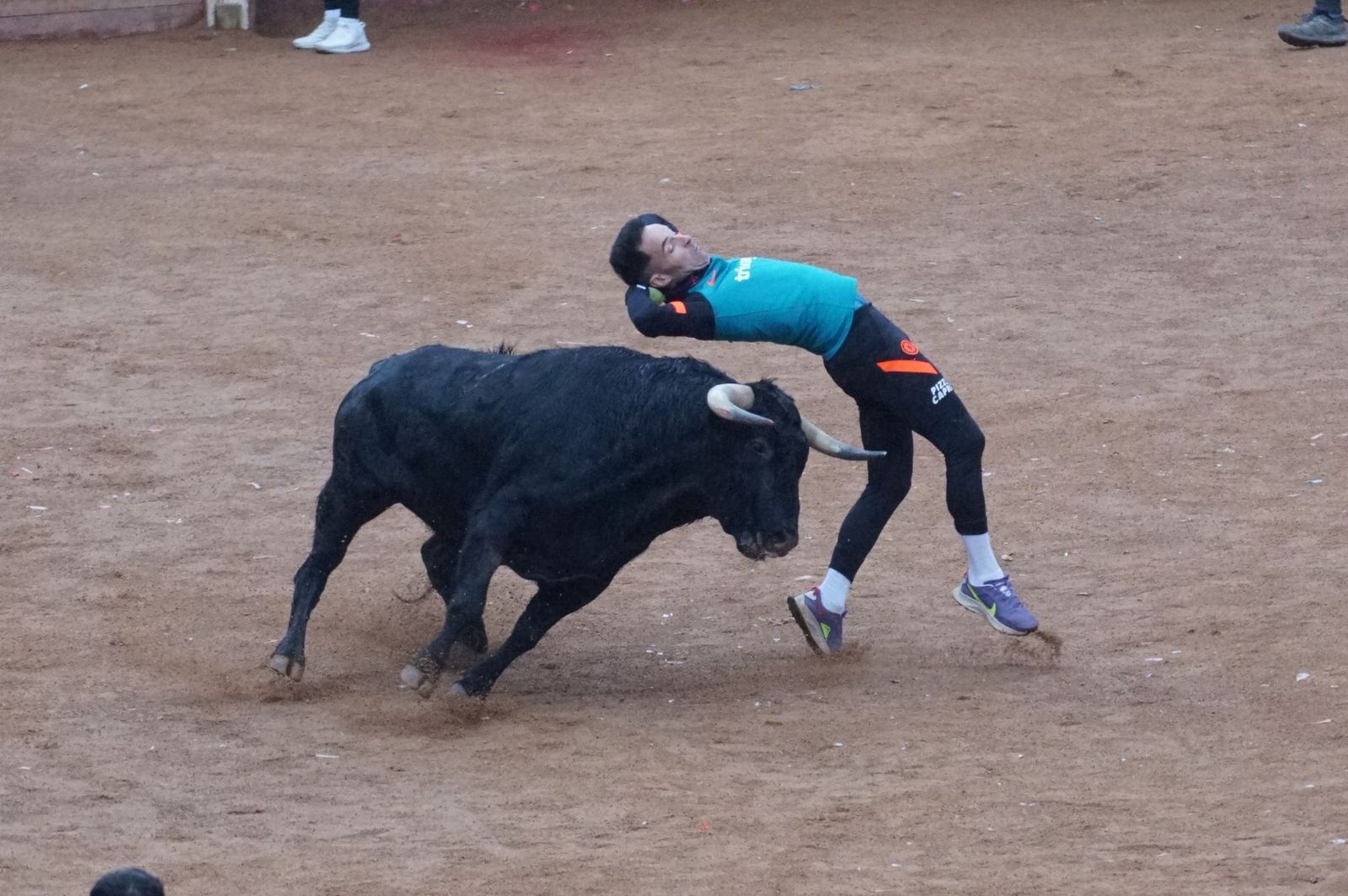Capea matinal de domingo de carnaval en Ciudad Rodrigo (60).jpeg