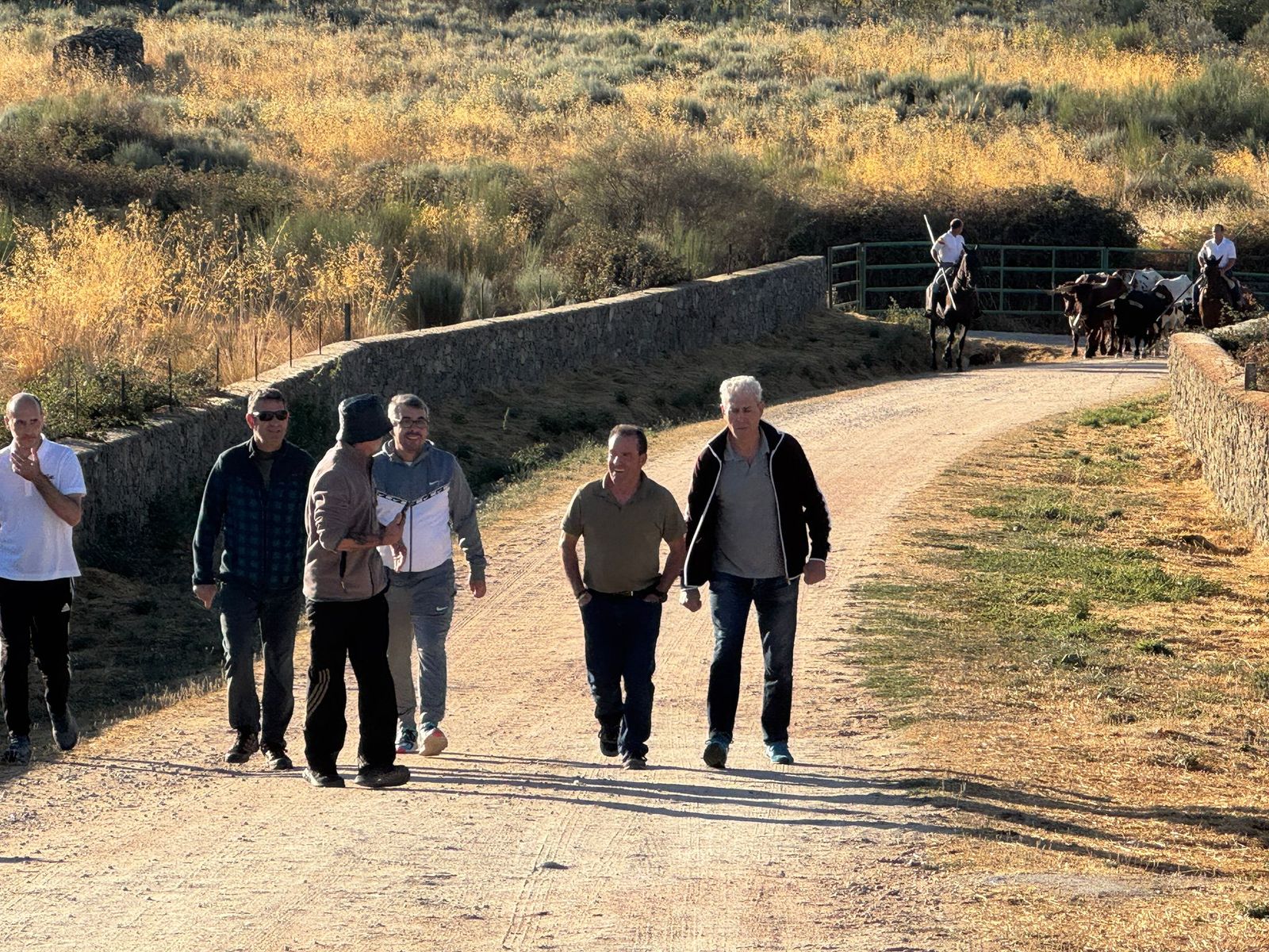Último encierro a caballo en Aldeadávila de la Ribera con reses de Valrubio