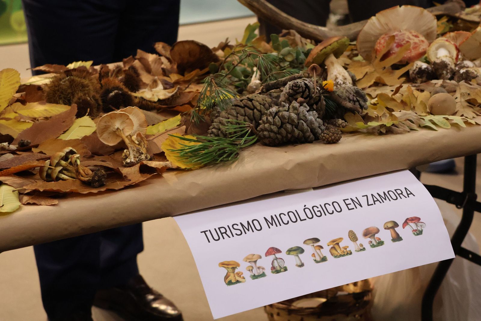 Zamora en Intur 2025 (18).JPG