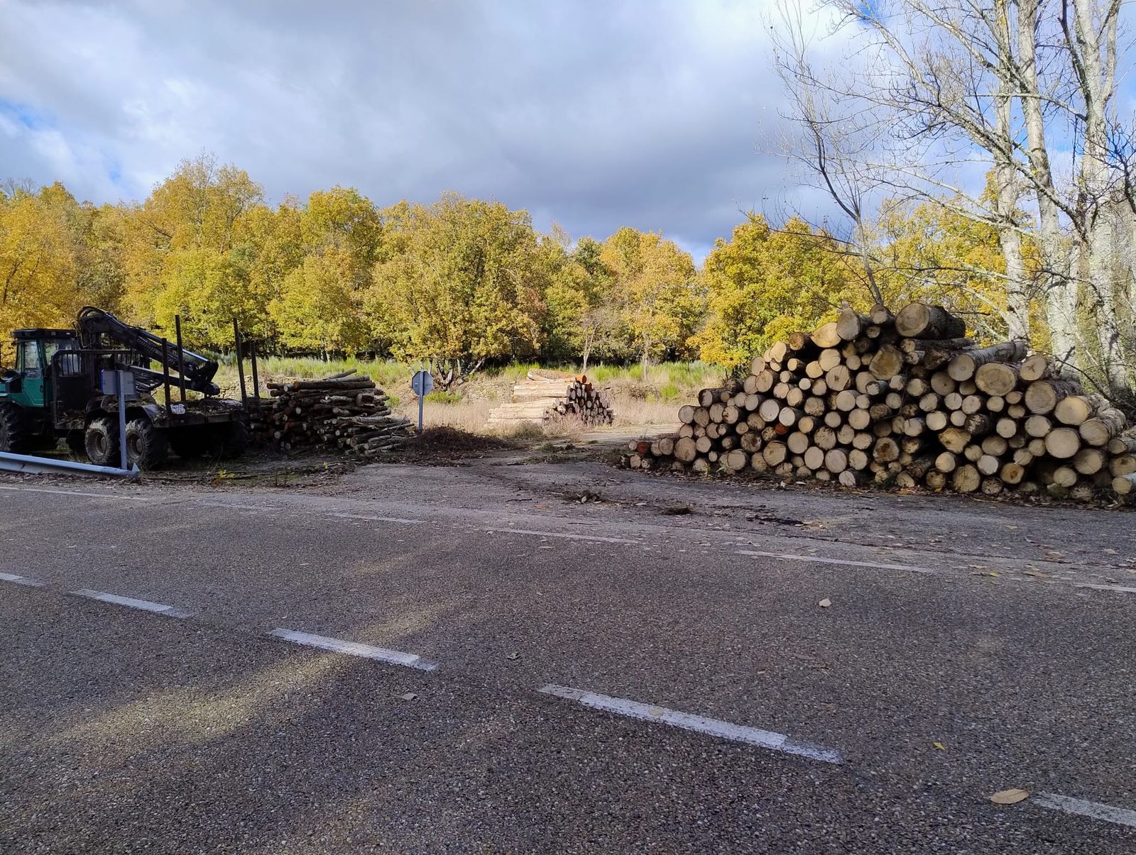 Imagen de una de las talas