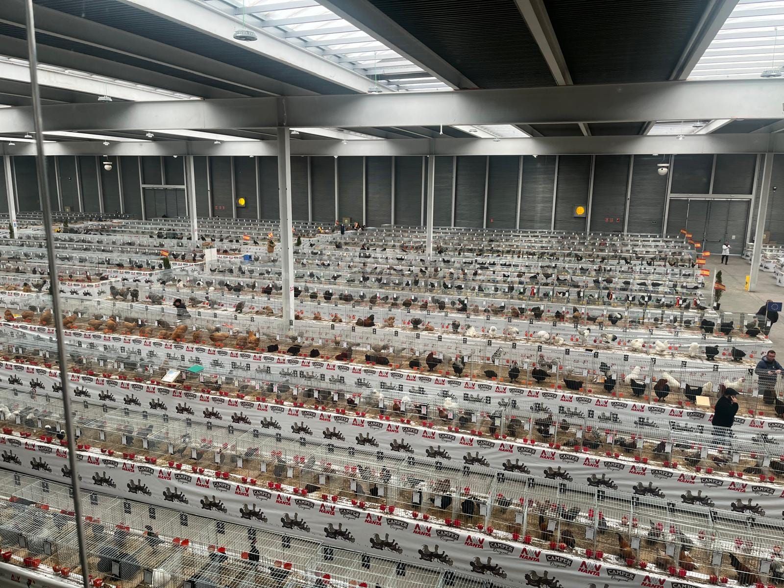 XVII Concurso Nacional de Avicultura, Colombicultura y Cunicultura de Raza