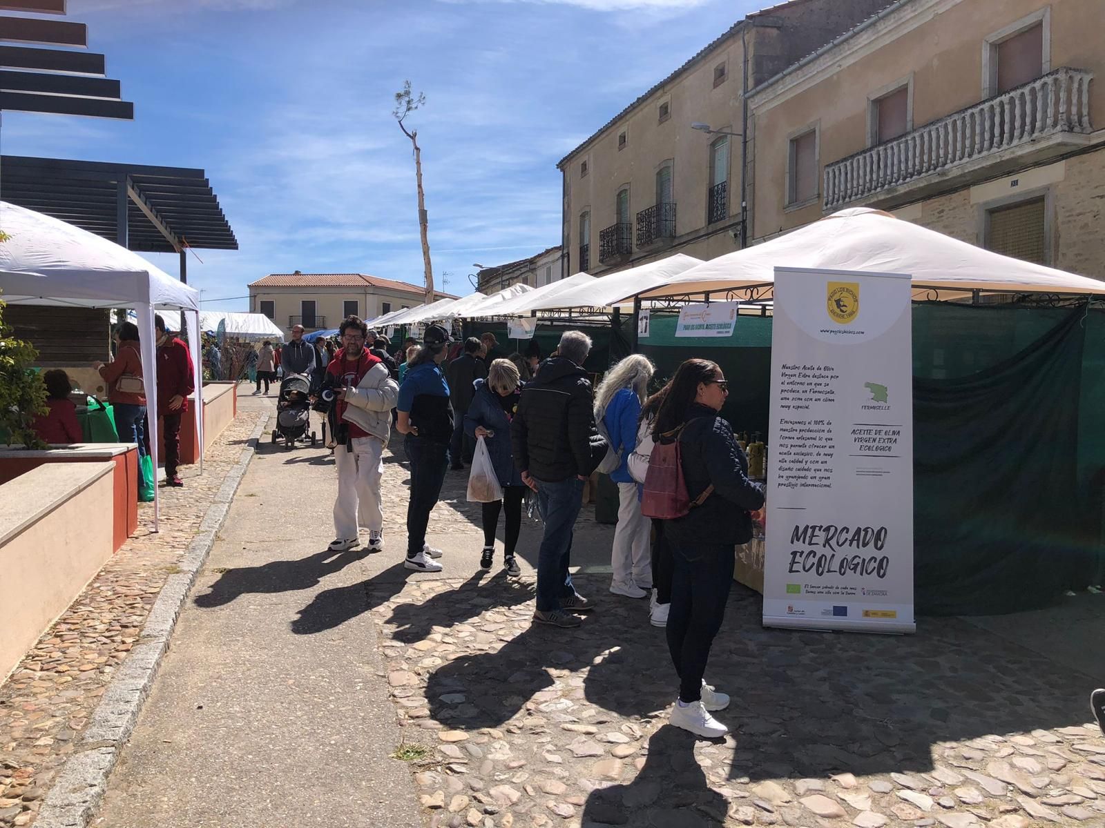 whatsapp-image-2024-05-04-at-11-58-12-4