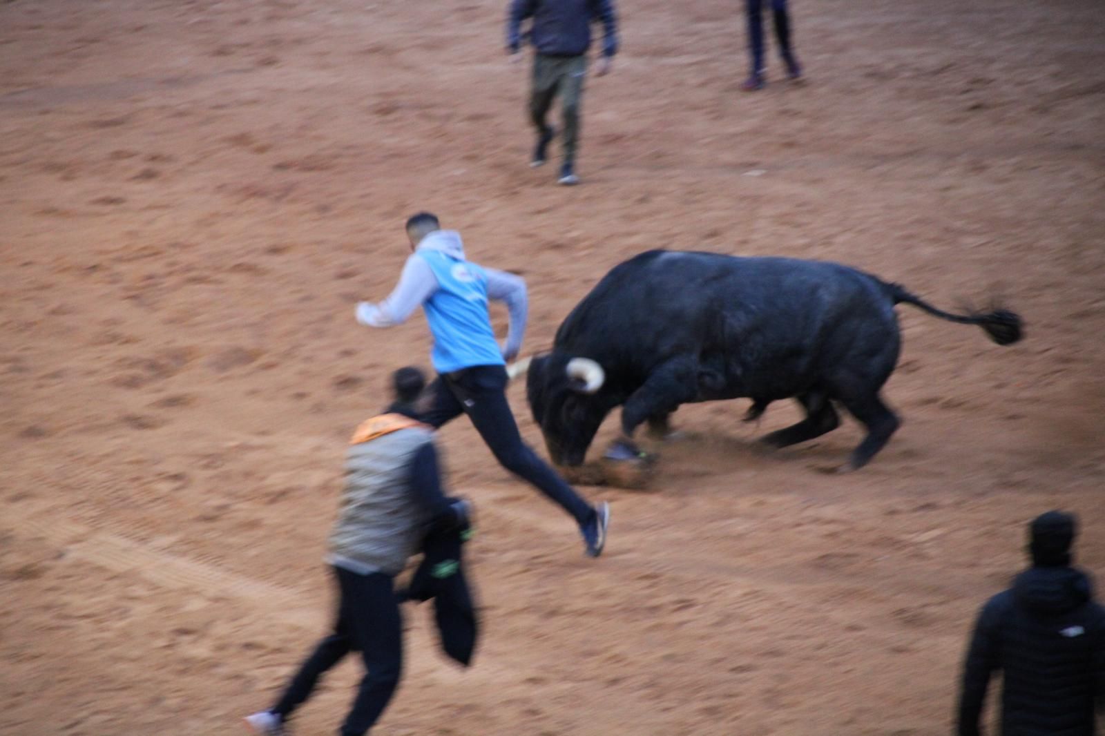 whatsapp-image-2025-03-02-at-19-32-39-1