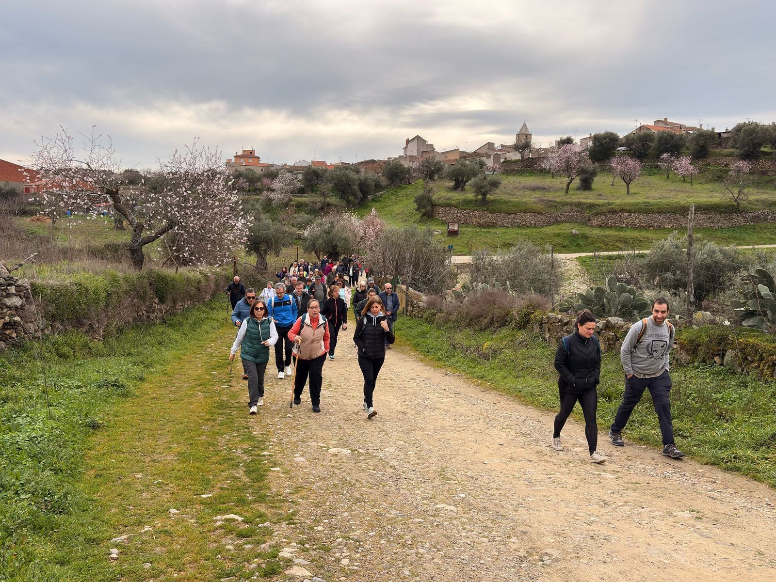 whatsapp-image-2025-02-15-at-11-09-36-2