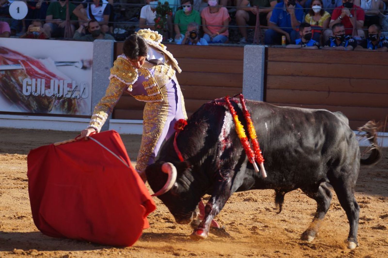 guijuelo-toros-el-puerto-de-san-lorenzo-17
