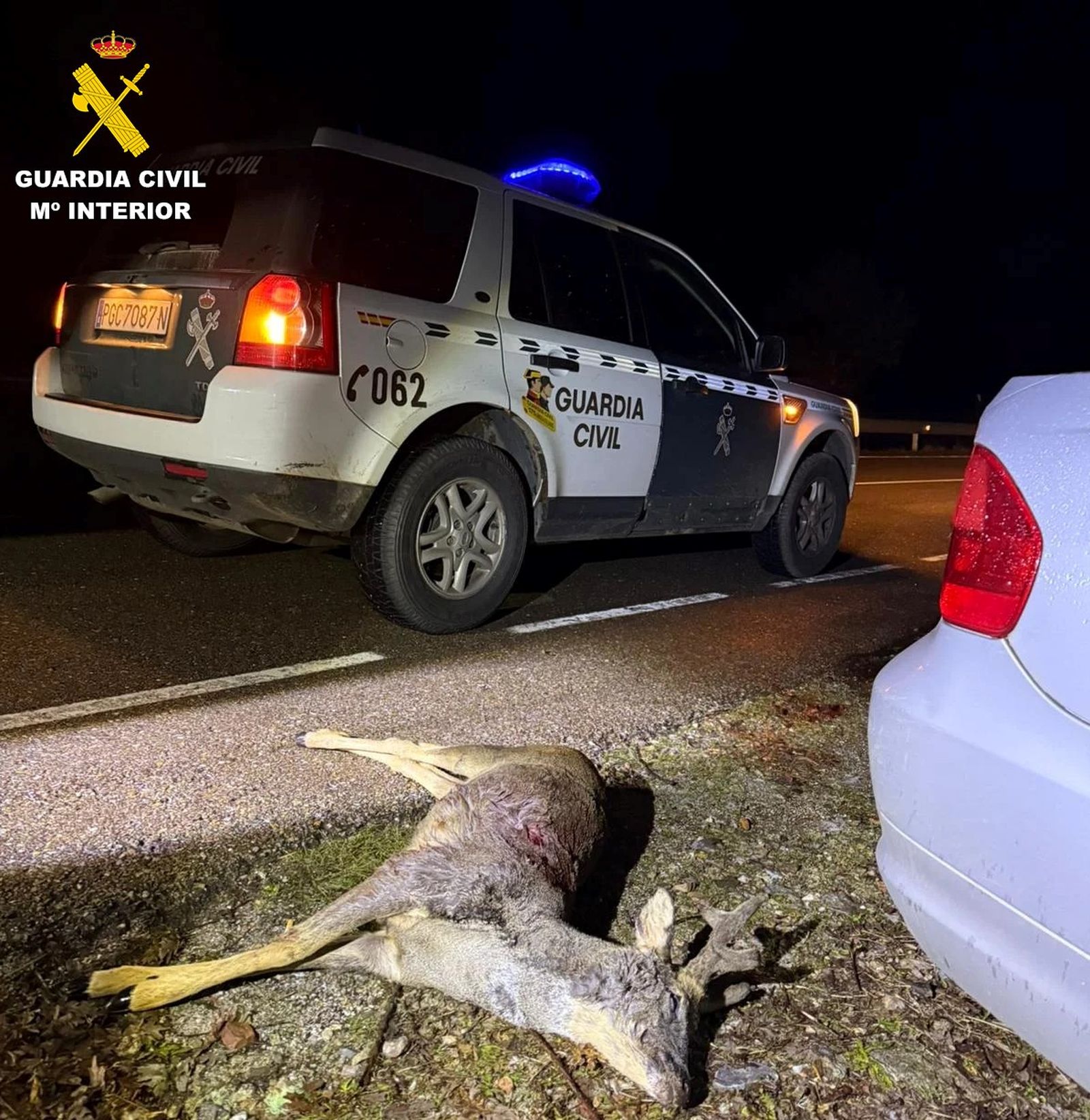 Investigados hombres por abatir ilegalmente un corzo durante la veda en El Payo